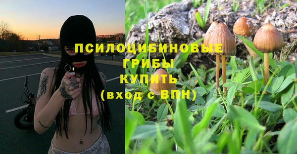 ешки Заволжск