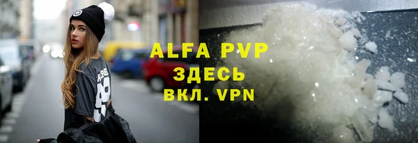 ECSTASY Ельня
