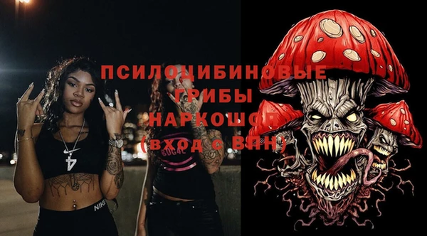 ECSTASY Ельня
