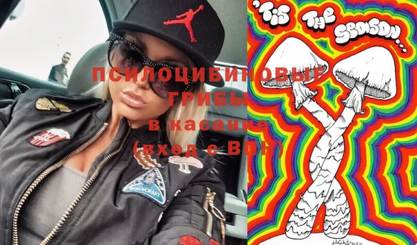 ECSTASY Ельня