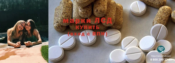 ECSTASY Ельня