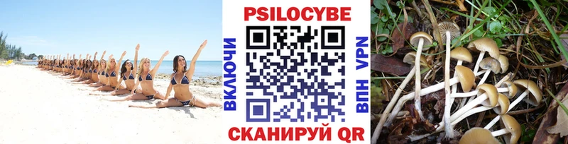 Псилоцибиновые грибы мухоморы  Пересвет 